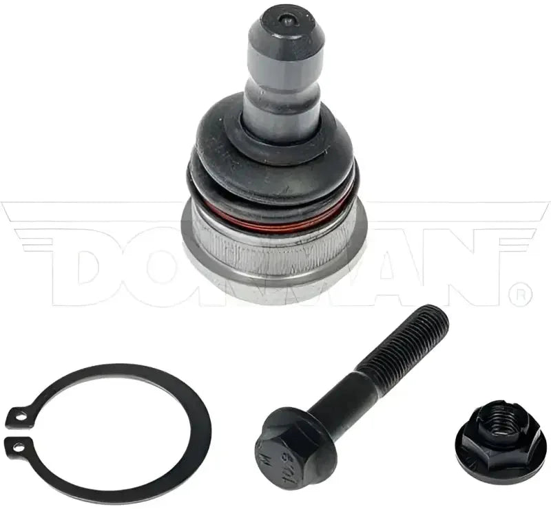 Dorman BJ63145XL Ball Joint