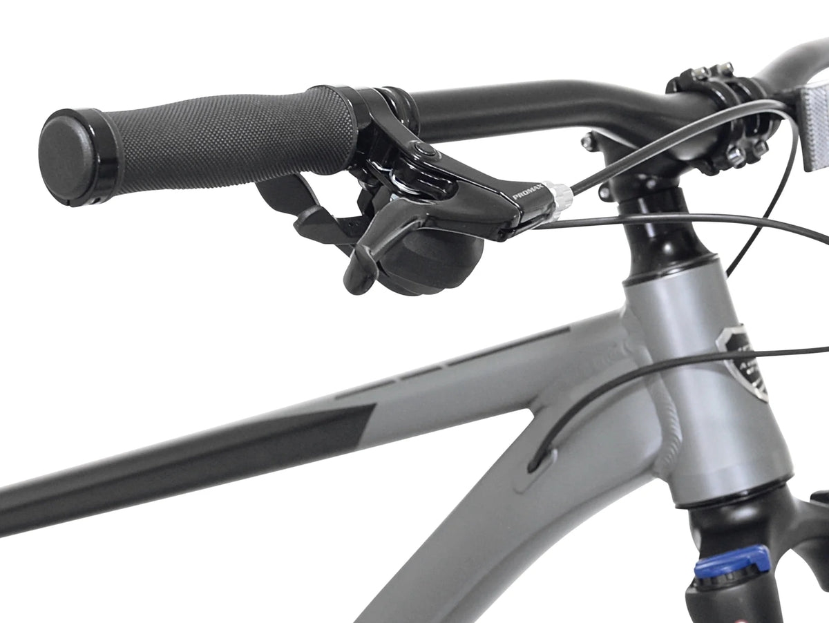 Bicycles 29" Men'S Trouvaille Mountain Bike Medium, Black and Taupe - Product image 8
